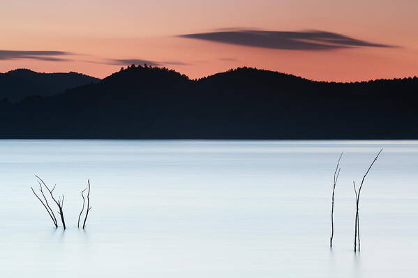 Spain Art Print featuring the photograph Drowned plants by Natura Argazkitan