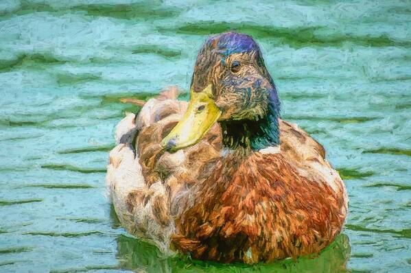 Duck Art Print featuring the photograph Duck Swimming in Lake Hopper by Don Northup