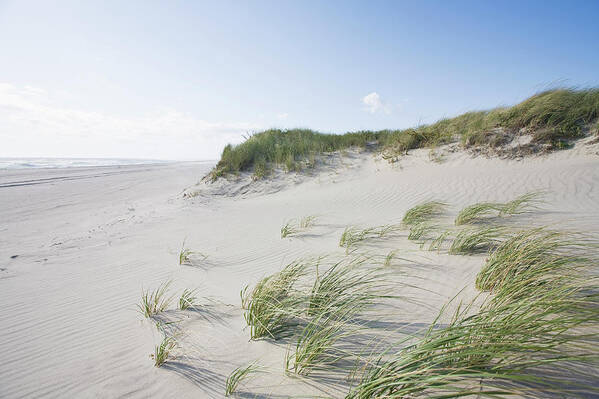 Tranquility Art Print featuring the photograph Dunes And Beach, Nantucket Island by Nine Ok