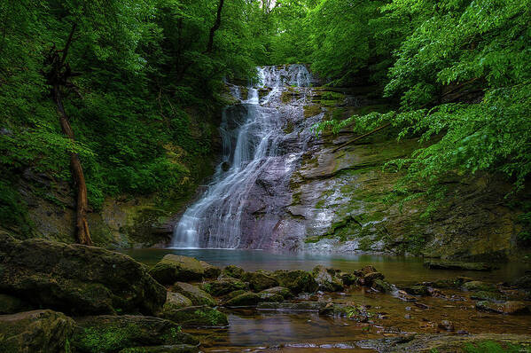 Waterfall Art Print featuring the photograph Elrod Waterfalls in Eastern Tennessee by Dee Browning