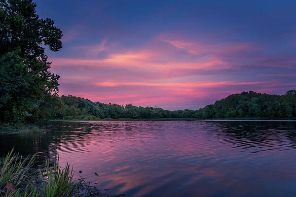 Lake Art Print featuring the photograph Evening at Springfield Lake by Allin Sorenson