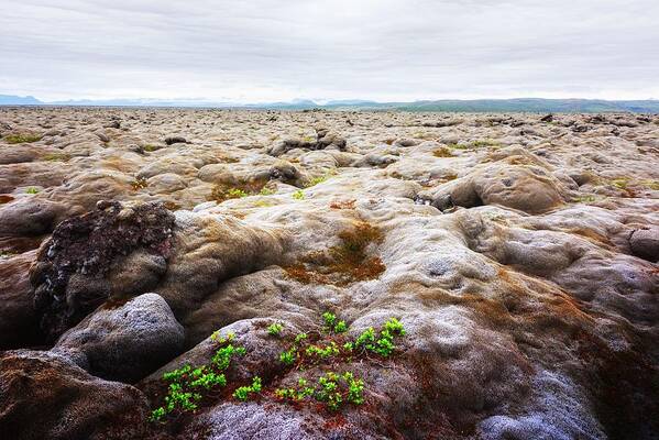 Landscape Art Print featuring the photograph Extraordinary Iceland Landscape by Ivan Kmit