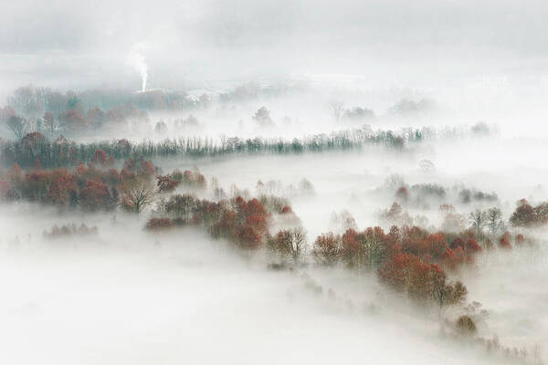 Fog Art Print featuring the photograph Factory Fog by Marco Galimberti