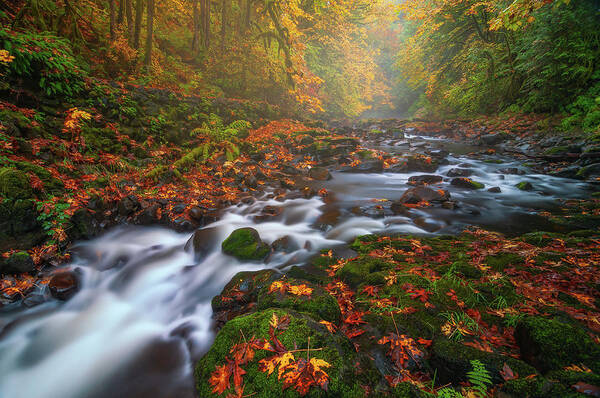 Fall Art Print featuring the photograph Fall Fantasy 3 by Darren White