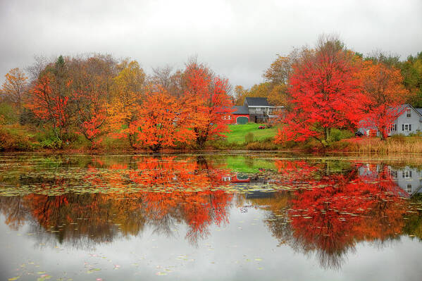 Scenics Art Print featuring the photograph Fall Foliage In Rural New Hampshire by Denistangneyjr