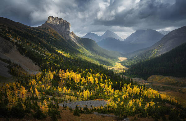 Banff Art Print featuring the photograph Fall Of Smutwood Valley by Yongnan Li ?????