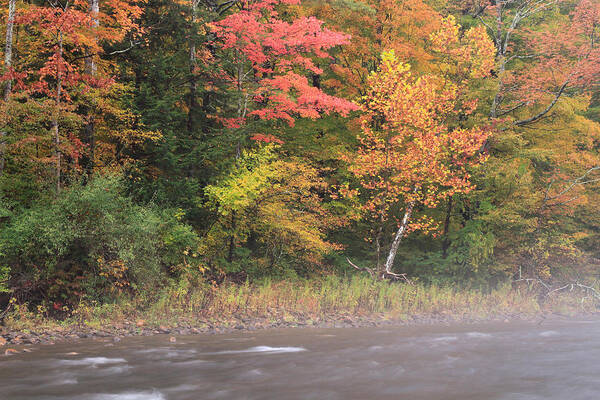 Arlington Art Print featuring the photograph Fall On The Battenkill River by David Kenny