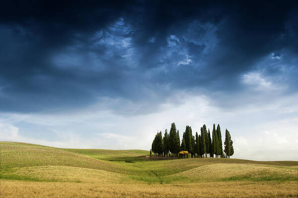 Outdoors Art Print featuring the photograph Famous Cypress Trees Of Tuscany With by Michele Berti