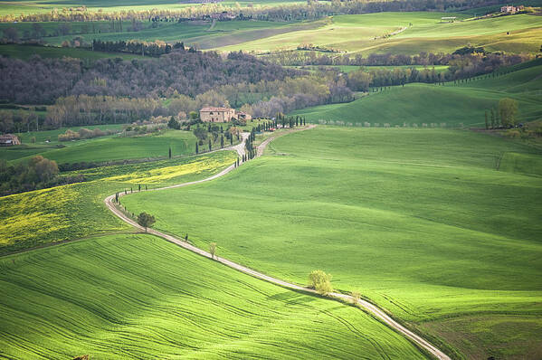 Grass Art Print featuring the photograph Farm In Tuscany by Cirano83