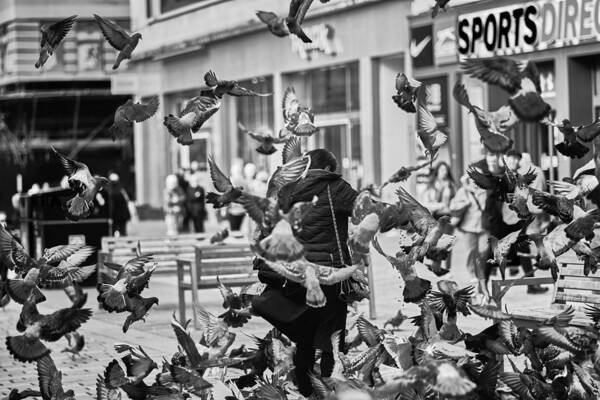 Person Art Print featuring the photograph Feeding The Pigeons by Enrico