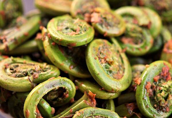 Italian Food Art Print featuring the photograph Fiddlehead Ferns by Image By Michael Talalaev