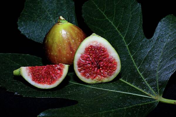 Figs Art Print featuring the photograph Figs by Martin Smith