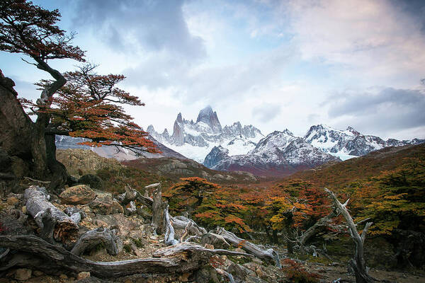 Patagonia Art Print featuring the photograph Fitz by Ryan Weddle