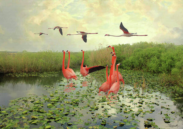 Flamingos Art Print featuring the digital art Flamingos of Florida by M Spadecaller