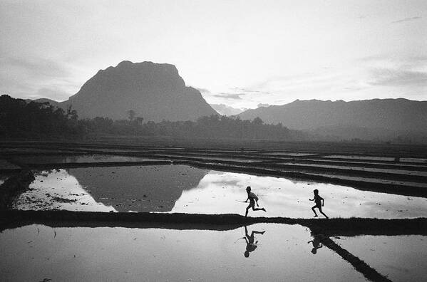 Thailand Art Print featuring the photograph Flooded Rice Paddy by John Dominis