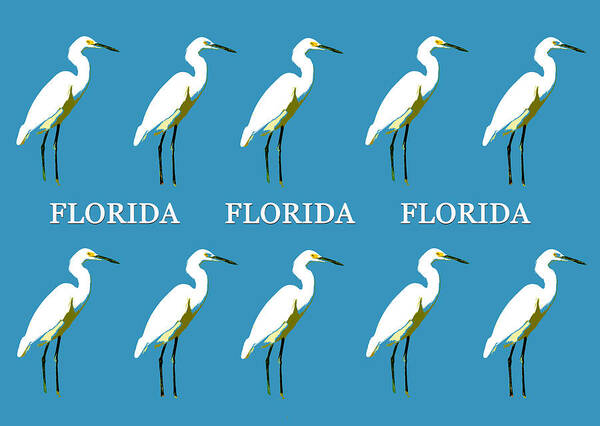 Florida Art Print featuring the mixed media Florida Egrets work A by David Lee Thompson