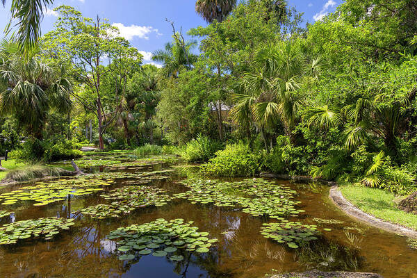 Estock Art Print featuring the digital art Florida, Vero Beach, Mckee Botanical Gardens by Laura Diez