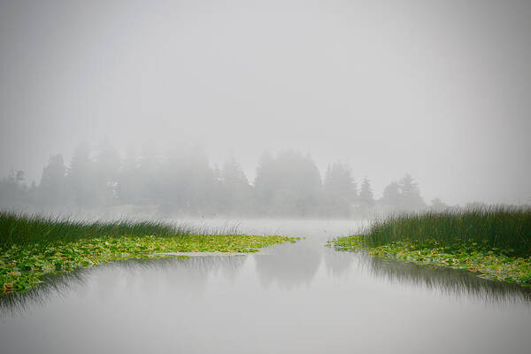 Nature Art Print featuring the photograph Foggy Morning by Bonnie Bruno