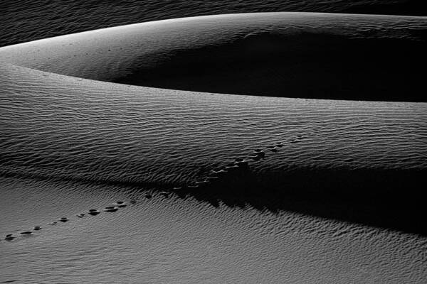 Nature Art Print featuring the photograph Footprint Crossing The Sand Dune by Joy Pingwei Pan