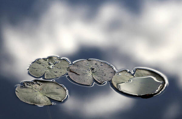 Water Art Print featuring the photograph Four by Bror Johansson