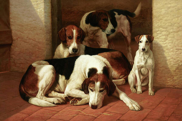 Foxhound Art Print featuring the painting Foxhounds and a terrier by Edward Algernon Stuart Douglas