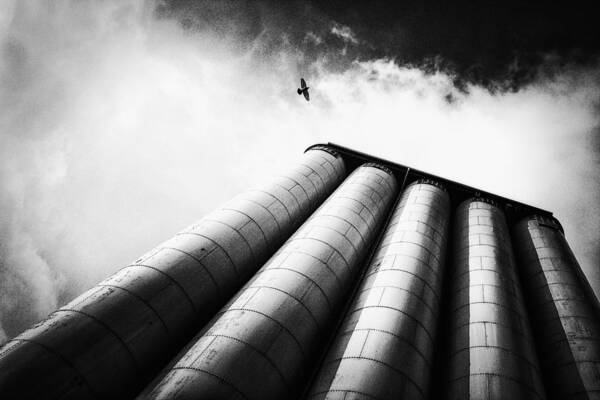 Facade Art Print featuring the photograph Free by Holger Droste