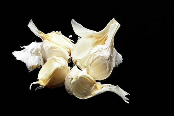 Black Background Art Print featuring the photograph Garlic by Yuji Kotani