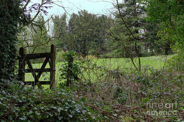 Woodland Art Print featuring the photograph Gated field by Pics By Tony