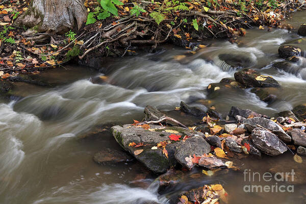 Autumn Art Print featuring the photograph Gatineau Park's Fortune Creek by Michael Russell