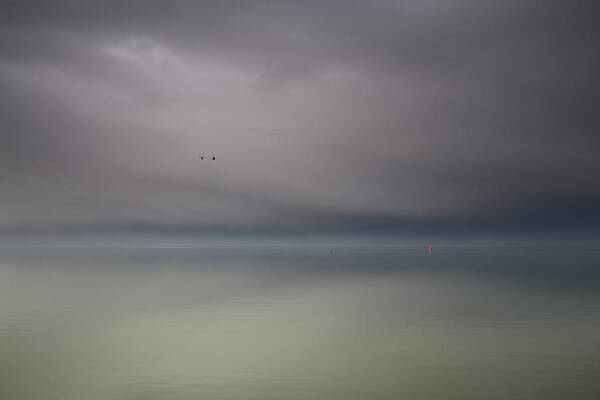 Mist Art Print featuring the photograph Geese Flight by Anna Zuidema