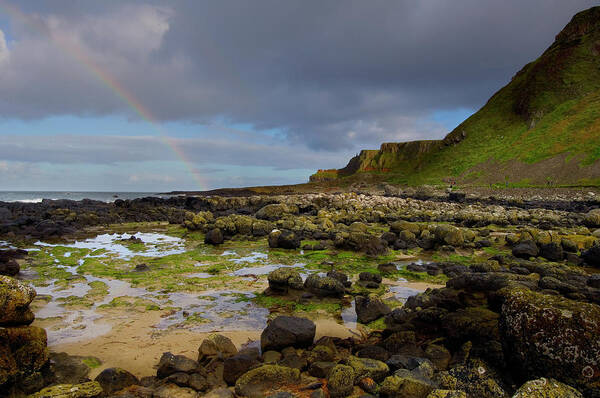 Tranquility Art Print featuring the photograph Giants Causeway by Maremagnum