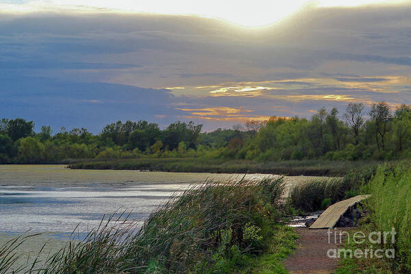 Wetland Art Print featuring the photograph Golden Sunset over Wetland by Susan Rydberg