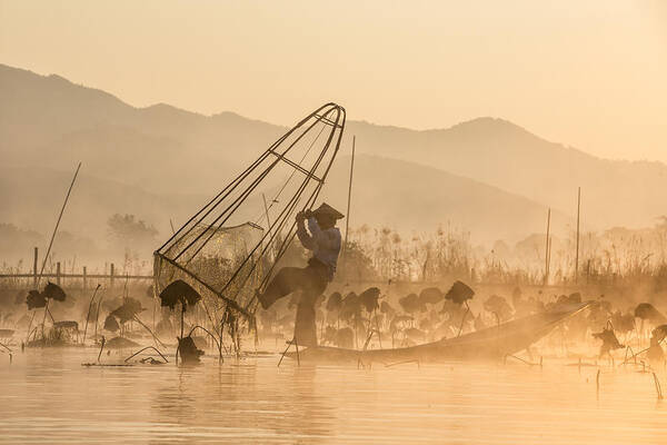 Fish Art Print featuring the photograph Good Morning, Let's Fishing! by Gunarto Song