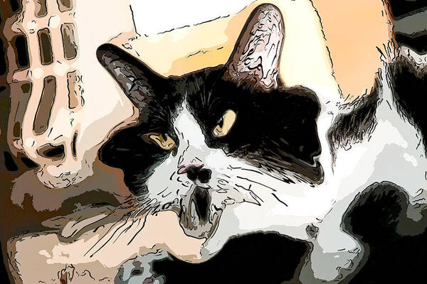 Kitten Art Print featuring the digital art Goofy Tuxedo cat Color by Don Northup