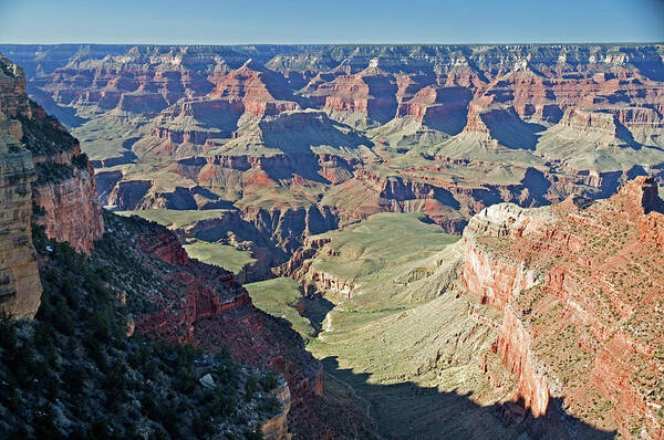 Scenics Art Print featuring the photograph Grand Canyon Beauty by Mitch Diamond