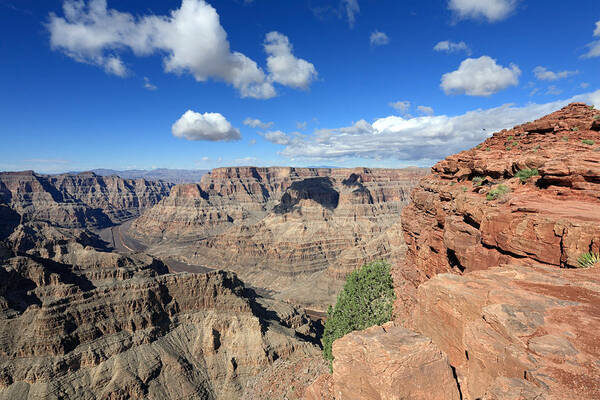 Scenics Art Print featuring the photograph Grand Canyon National Park by Vuk8691