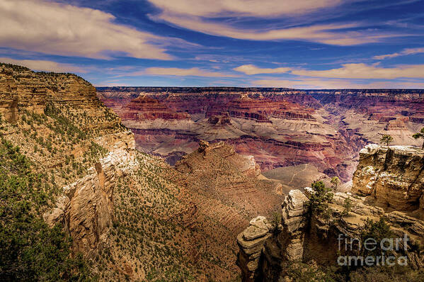 Mountain Art Print featuring the photograph Grand Canyon South Rim #6 by Blake Webster