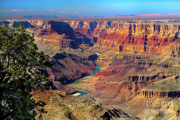 Grand Canyon Art Print featuring the photograph Grand Canyon Sunset by Robert Bales