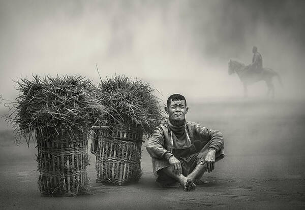 Horse Art Print featuring the photograph Grass-man & The Horse-man II by Sebastian Kisworo