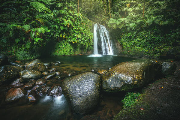 Landscape Art Print featuring the photograph Guadeloupe - Cascade Aux crivisses by Jean Claude Castor