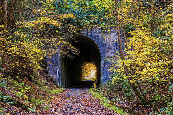 Tunnel Art Print featuring the photograph Guest River Gorge Tunnel by Dale R Carlson