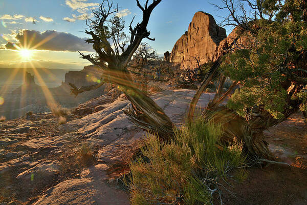 Canyonlands National Park Art Print featuring the photograph Half Dome at Sunset at Green River Overlook by Ray Mathis