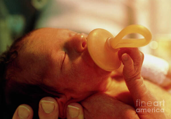 premature baby in hand