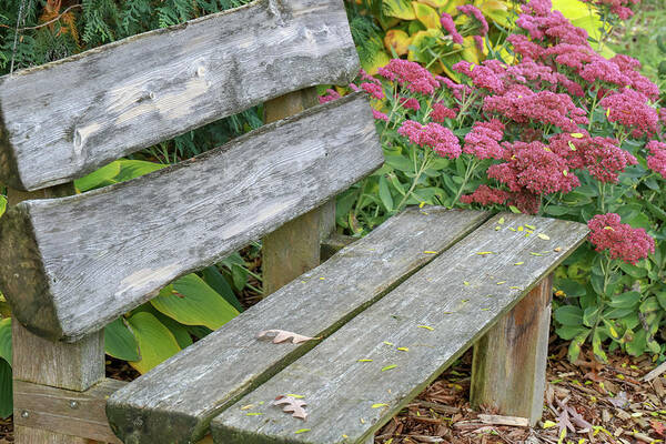 Bench Art Print featuring the photograph Handmade Rustic Bench by Laura Smith