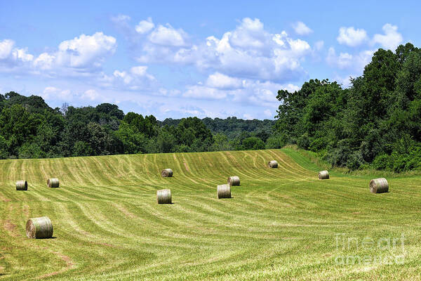 Hay Art Print featuring the photograph Hay Fields of Virginia by Kerri Farley