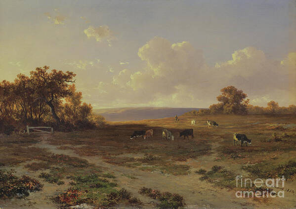 Landes (40) Art Print featuring the painting Heath Landscape With Cows, 1852 by Francois Auguste Ortmans
