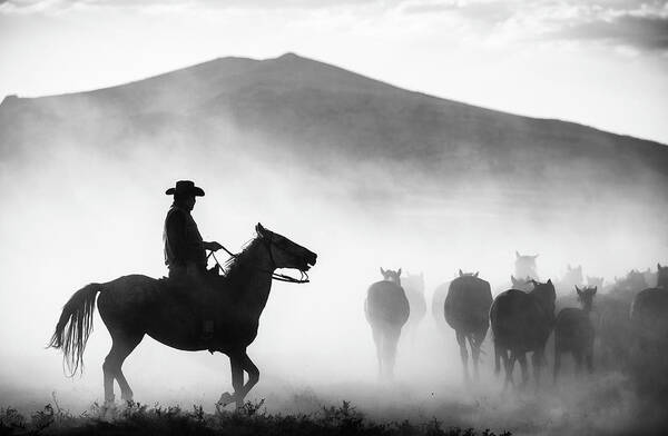 Cowboy Art Print featuring the photograph His Territory! by Yavuz Pancareken