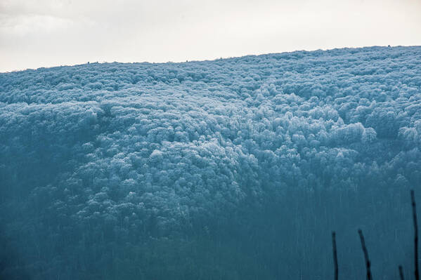 Blue Ridge Art Print featuring the photograph Hoarfrost Blue Mountain by Mark Duehmig