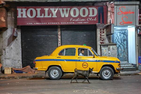 Urban Art Print featuring the photograph Hollywood, Yellow Cab And Dog by Garik