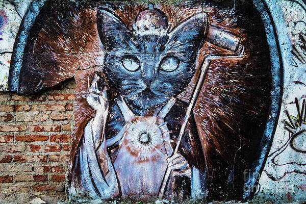 Mural Art Print featuring the photograph Holy cat, wall painting in Bariloche, Argentina by Lyl Dil Creations